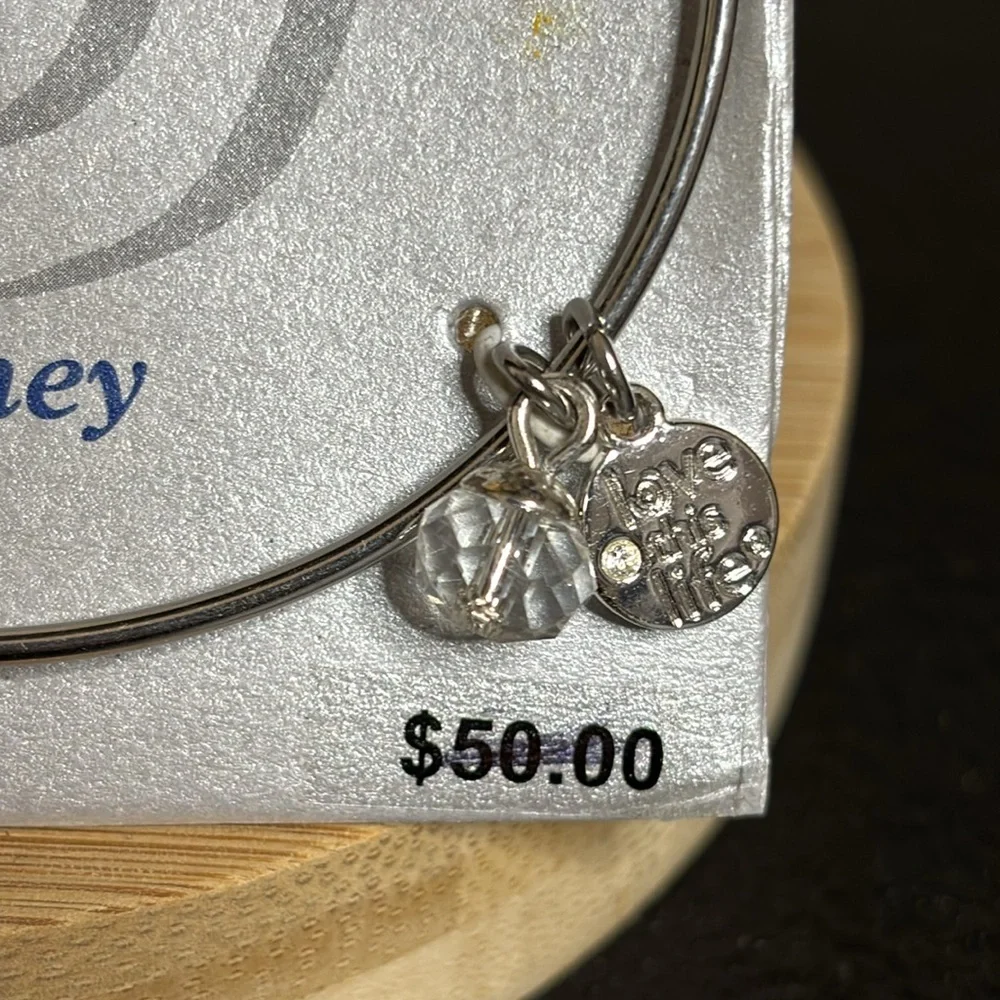 NWT Live this Life Journey Compass Charm Silver Tone Adjustable Bangle Bracelet